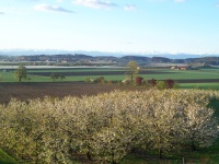 Terrasse und Garten